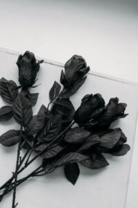 Zwarte rozen